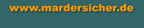 Marderabwehr